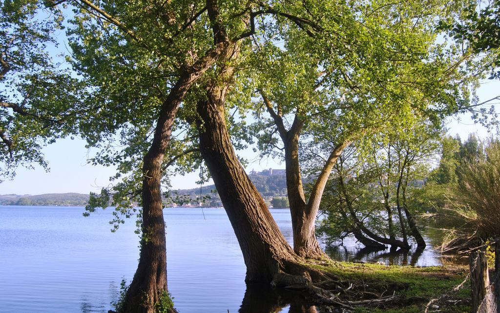 The Lake Chalet Брачано Екстериор снимка